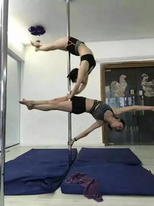 成都鋼管舞 暑期鋼管舞培訓 爵士舞暑期班