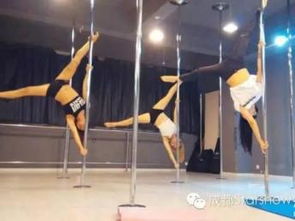 圖 成都星秀鋼管舞 爵士舞 四川專業鋼管舞培訓機構 成都文體培訓