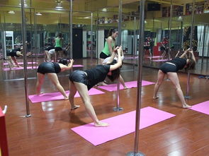 合肥鋼管舞培訓(xùn)：信譽(yù)卓越的鋼管舞學(xué)校選擇指南