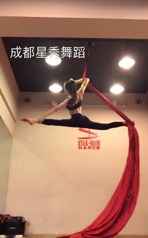 郫縣鋼管舞與爵士舞培訓(xùn)價(jià)格全解析 星秀鋼管舞課程詳情