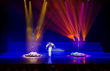 南昌專業鋼管舞培訓機構推薦及培訓指南