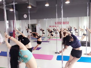 成都0基礎學鋼管舞爵士舞 0首付分期付款的培訓新選擇