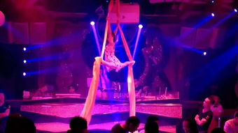 雙流專業舞蹈培訓學校 鋼管舞、爵士舞與吊環舞蹈全方位指導