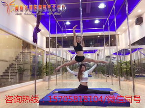 杭州戴斯爾舞蹈培訓 文體交融的鋼管舞藝術之旅