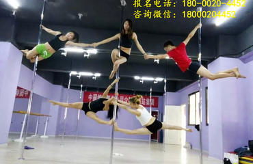 南昌專業(yè)鋼管舞培訓(xùn)與職業(yè)教練班——舞動夢想，鑄就專業(yè)舞臺